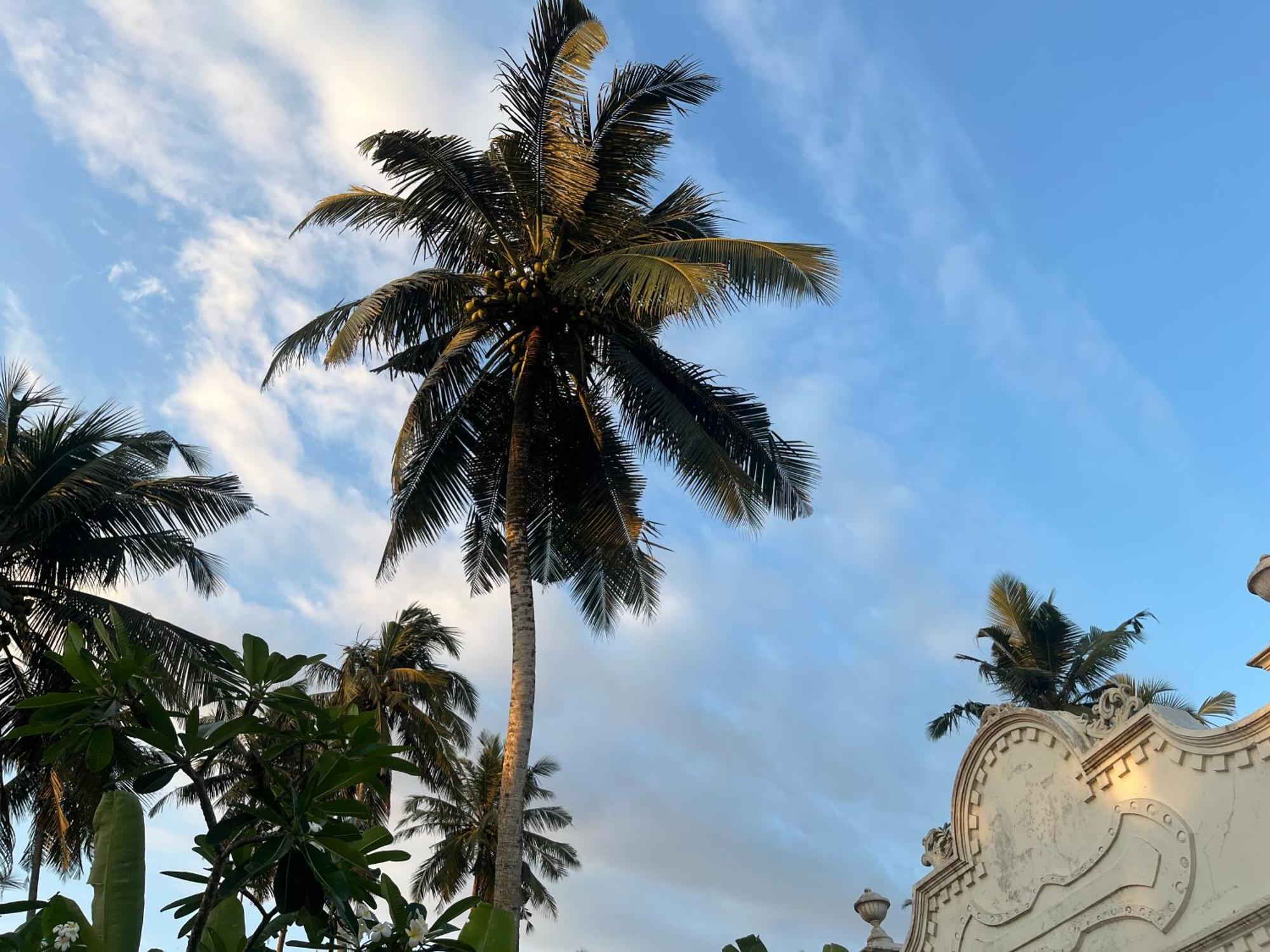 Samudrawasa Luxury Colonial Villa & Beach House Ambalangoda  Exterior foto